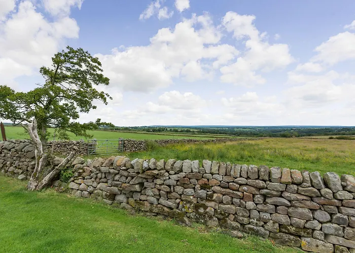 Dom wakacyjny Fir Tree Stables *